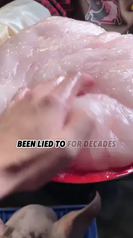 Why lard is the cleanest cooking oil #tiktok #usa #make #food #lard 