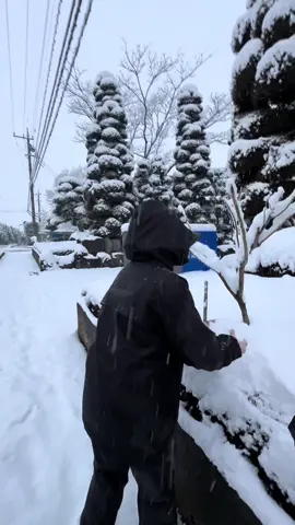 Selalu excited tiap akhir tahun