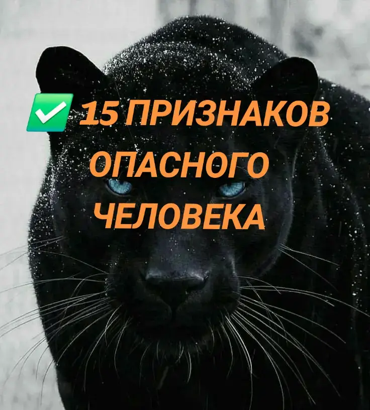 #жизнь #истина #психология #мотивация #рекомендации 