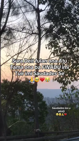 #AlinQ😭🕊💔🙏🥹 #foreveralin_anibalfreitas🕊😭🥀🥲 