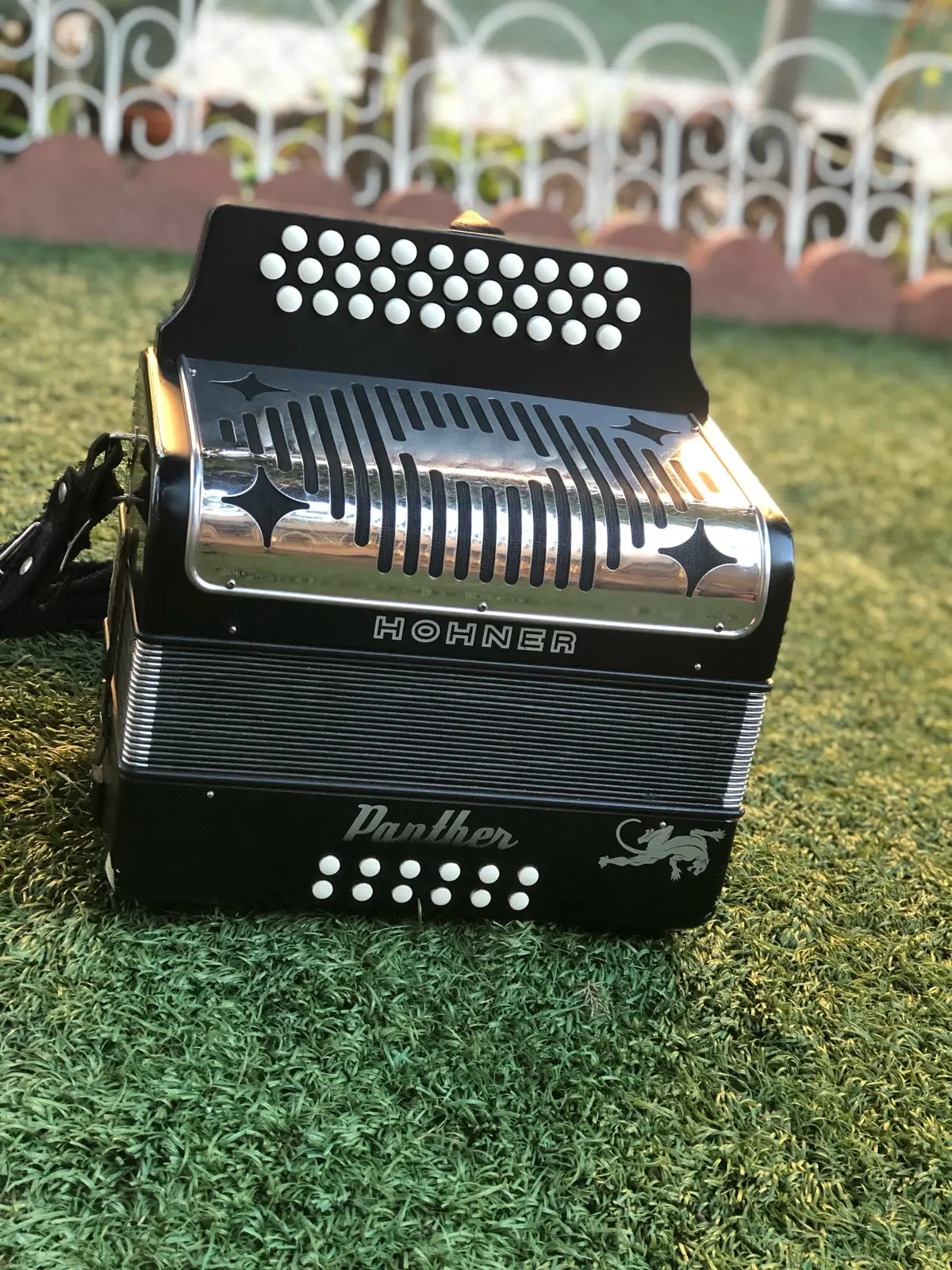 As a kid I only dreamed of owning a Gabbanelli now I have 2 🥲🙏🏽🪗  gonna continue to grow the collection hopefully a Dino or Hohner next 😎  #accordion #motivation #fypp #acordeonista #viral 