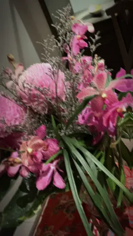 #gardenmusic #nhachaymoingay🎼🎼🎼 #fypシ゚viral #xuhuong 