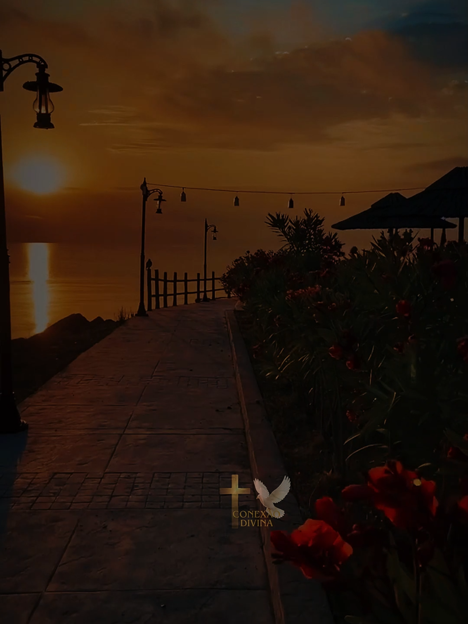 ✨ Mesmo sem forças… é a Tua graça que me sustenta! 🙏 Mesmo quando tudo parece desabar, a graça de Deus continua te sustentando. 💔✨ Essa canção é um lembrete: não é sobre o que você pode fazer, é sobre o que Ele já fez por você. Ore, sinta, e deixe a presença do Espírito Santo te renovar agora. 🙏 #LouvorGospel #MúsicaCristã #Adoração #Visionarios217 #Louvor2025