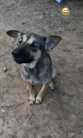 #fypシ #🤣🤣🤣 