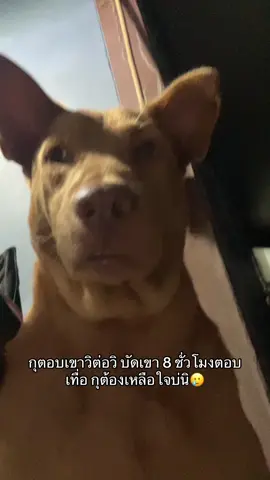 #แป็ปชี่เอง 