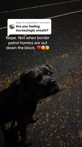 Replying to @masslesbian yes, when I’m alone. But i live with cbp roommates and am so close to the border i am surrounded by Blaine PD and Border Patrol. So no. But yes. My abuser dying two years ago fucked up my perspective that I was fine. #themollymohawkshow #mollythecop #blusteelcanecorso 