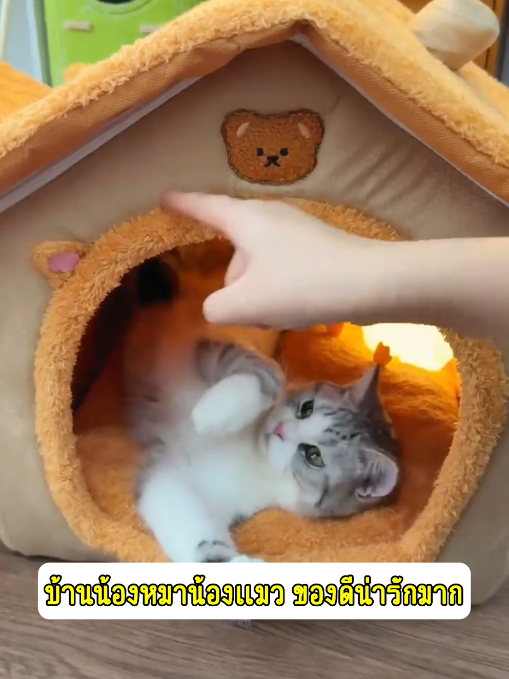 บ้านนอนสัตว์เลียง #ที่นอนแมว #บ้านแมว #ที่นอนสัตว์เลี้ยง #บ้านสัตว์เลี้ยง 