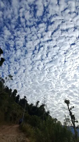 badal☁️😻#goviral #fpyシ #foryou #fppppppppppppppppppp @️Kittuh🙈💫 