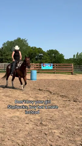 Do it #wlw #equestrian #hehe