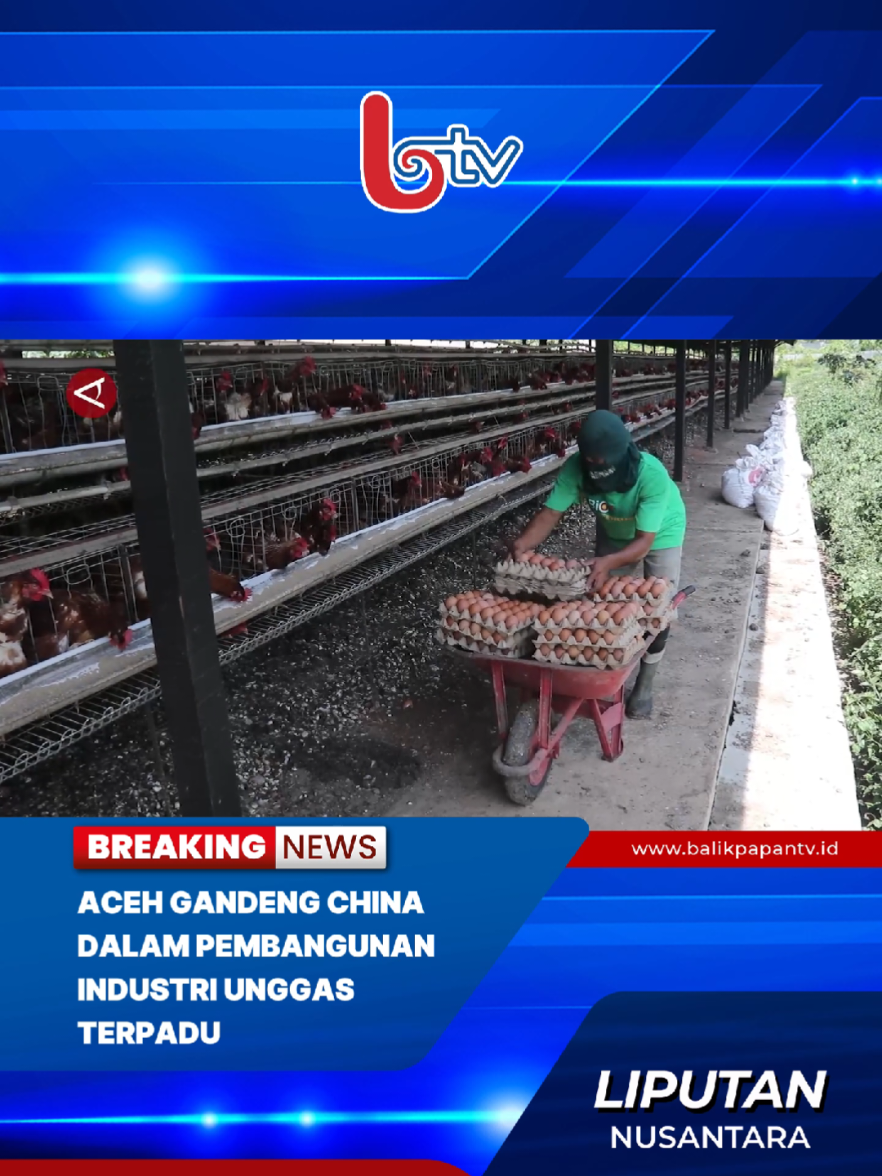 Pemerintah Aceh menggandeng perusahaan asal China Xinxiang Anlong Agricultural Technology, pada proyek pembangunan kawasan industri unggas terpadu, di Aceh Besar. Gubernur Aceh Muzakir Manaf, Selasa  (21/10) menyebut pembangunan kawasan industri tersebut akan memberikan dampak positif #AntaraNews #Indonesia #Aceh #China #Unggas 