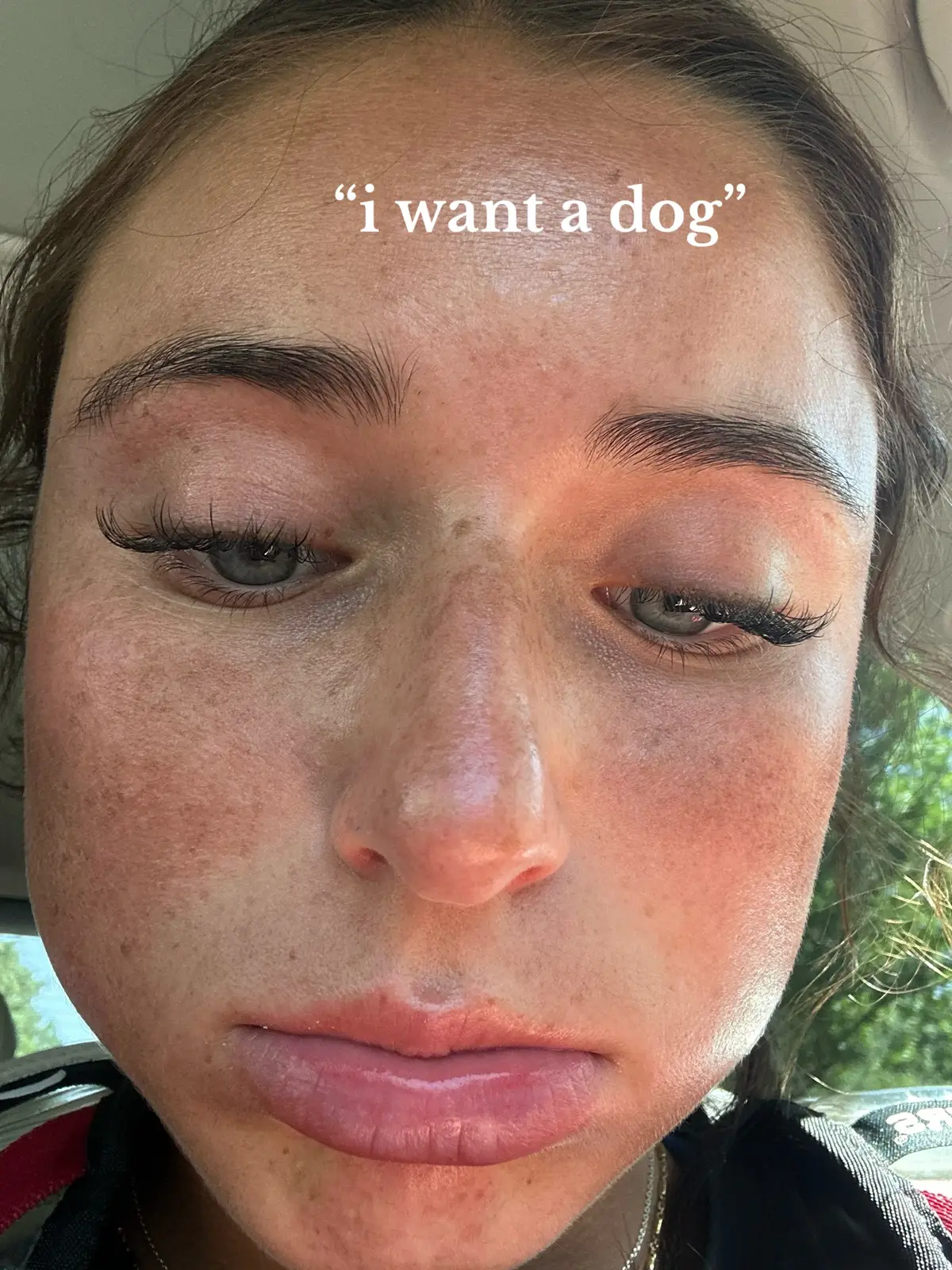 she’s 180 lbs of pure perfection🥰❤️ #dogsoftiktok #no #fyp #englishmastiff 