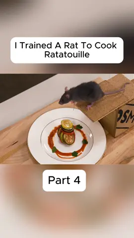I Trained A Rat To Cook Ratatouille #NickDiGiovanni#food #chef #nickdigiovanni 