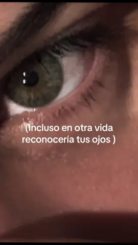 #roa #fyp #parati #viral #concerts 