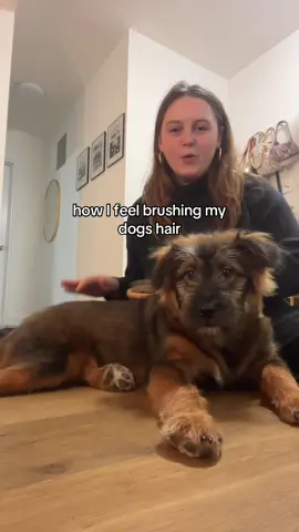 take back what once was mine!