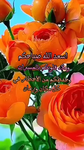 #اللهم_صل_على_محمد_وآل_محمد  #اسعدالله_صباحكم_بكل_خير❥🌹🌹❥ 