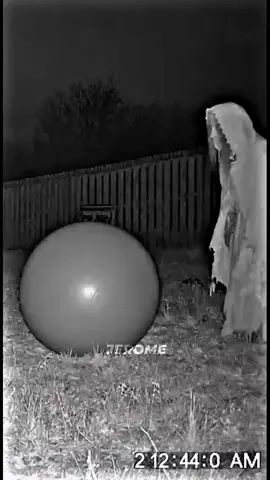 more pa? #solid_ultra_seven #u7_jerome #fanny_edit #fanny #random_edit #viralallovertheworld #everyoneシ゚ #u7_jerome #solid_ultra_seven #fyppppppppppppppppppp 