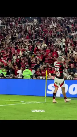 2º gol do nosso colombiano contra racing!! #carrascal #vaiprofycaramba #flamengo 