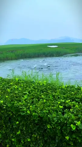 #اللهم_صلي_على_نبينا_محمد          اللهم امين يارب العالمين 