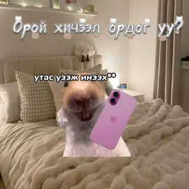 орой хичээл ордог уу?🫢 za cat store 2vlogoonoruulsn guys bi zrim cat storegaas sanaa avd oroo xiij orcvvlc bga geed oilgoore💕💕FOLLOW XIIGD BVAARE BEBUUDE #catstore😼 #cat #night 