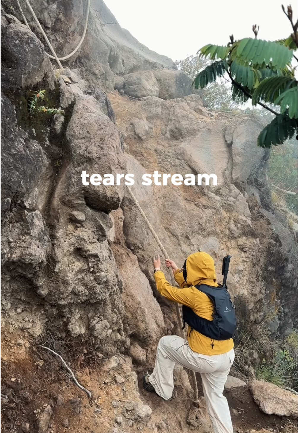 Sudah tau bikin cape tapi balik terus ke gunung😌 #pendakigunung #mountain 