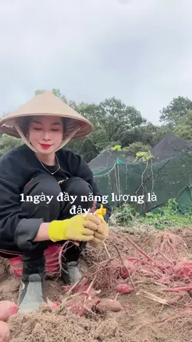 Cố gắng thôi 🥰#xkldhanquoc #nguoiviettaihanquoc 