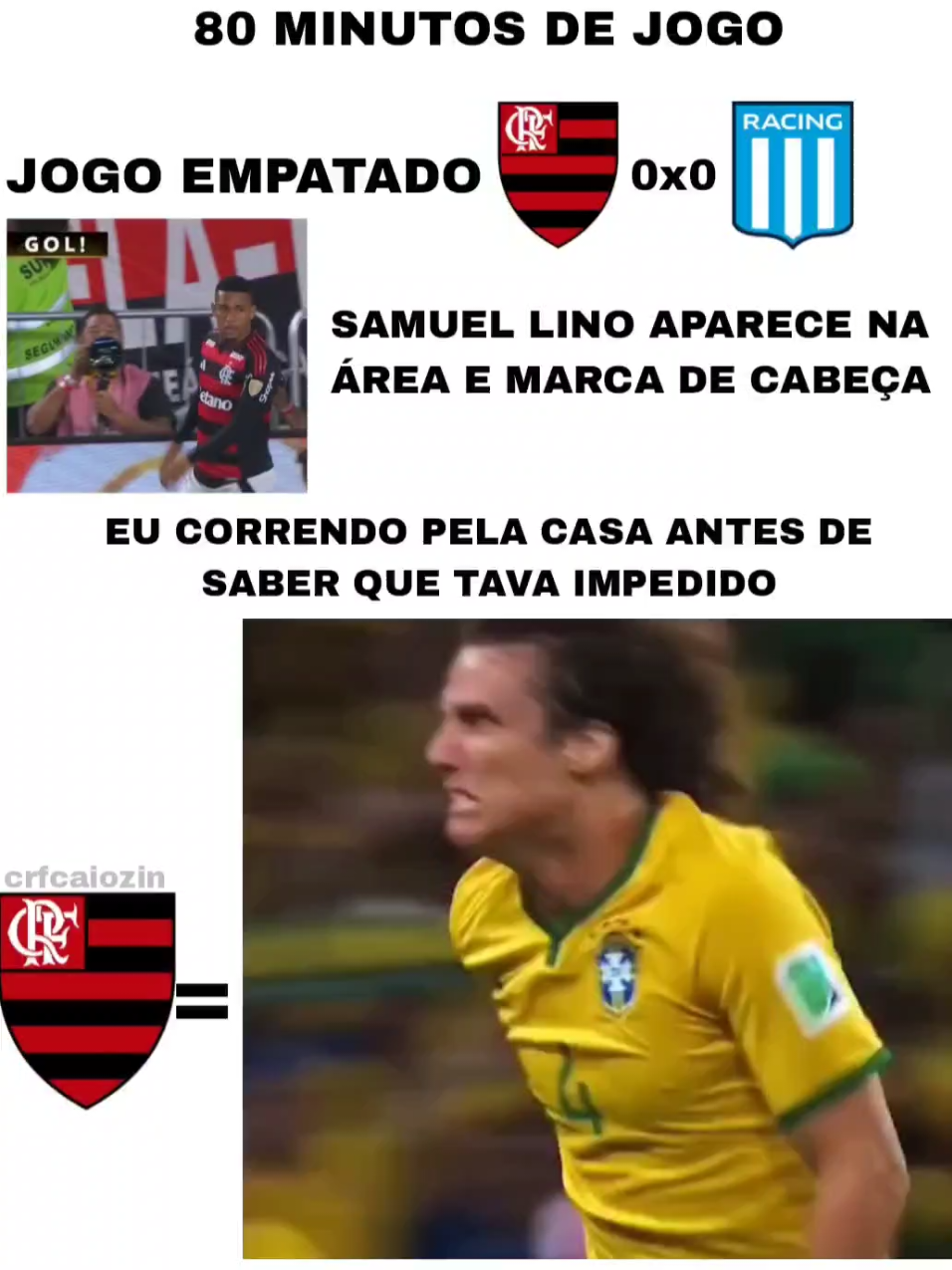 eu nunca comemorei tanto um gol anulado na minha vida, mas enfim vencemos, vamos decidir lá. . #flamengo #racing #libertadores #mengo #fyp 
