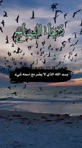 دعاء الصباح اللهم إني أسألك الثبات في الأمر  وأسألك العزيمة على الرشد وأسألك شكر نعمتك وحسن عبادتك  وأسألك قلبا سليما ولسانا صادقا وأسألك من خير ما تعلم وأعوذ بك من شر ما تعلم وأستغفرك لما تعلم، إنك أنت علام الغيوب #صباحكم_أحلى_صباح #صباحكم_معطر_بذكر_الله #صباح_الورد #صباح_الخير #صبحكم_الله_بالايمان_وطاعة_الرحمن 