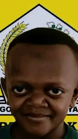 kirim meme Klian dong mau tau berapa banyaknya skin pak bahlil#CapCut 