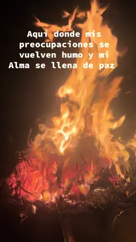 #happyathome #foryoupagess #LIVEIncentiveProgram #LIVEMonetization #PaidPartnership 