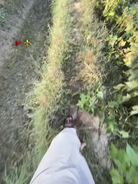 Landlord🔱🗿. #forming🌾 #forourpage #foryoupage #viralvideotiktok #foryou 