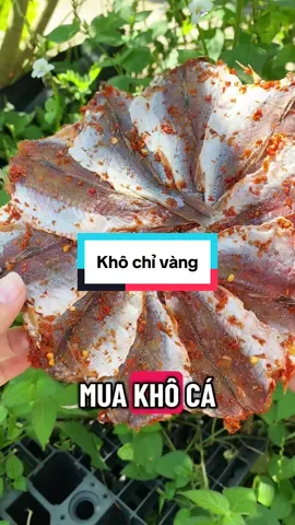 Khô chỉ vàng #chuyen69 #ttlktiktokshop❤️ #reviewsanphamdadun #khochivang  @Chuyền @69  @Chuyền @69  @Chuyền @69 