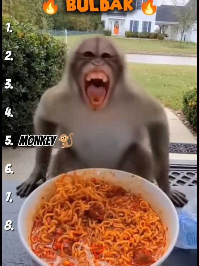 Top 8 Sora Ai Animals Trying Spiciest Noodle/Spiciest Buldak 🔥🥀  #fyp #funnyvideos #sora2 #compilation #animals 