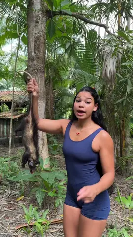 como chama esse bicho na tua cidade? #paratiiiiiiiiiiiiiiiiiiiiiiiiiiiiiii 