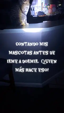 Quien más hace esto? #fypシ #paratiiiiiiiiiiiiiiiiiiiiiiiiiiiiiii #mascotas #pets #PetsOfTikTok 