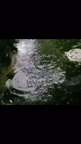 #اكتب_شيء_تؤجر_عليه🌿🕊 #قرأن_كريم_راحة_نفسية #مــتـابـعــة #دعمكم #سبحان_الله_وبحمده_سبحان_الله_العظيم 
