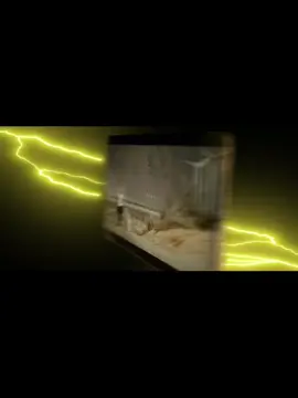 #dontjudgeme#chrisbrown#alishasmuzic #fyp 