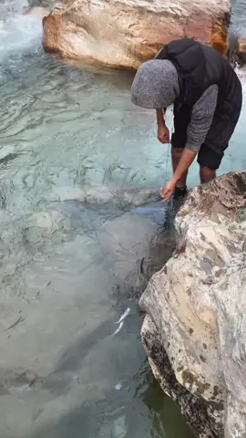 #गॅाउघर #galkotmuser maxa 