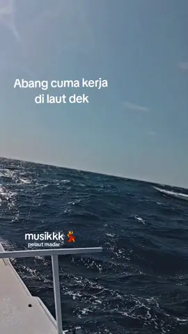 pelaut madar 🌊🛥️