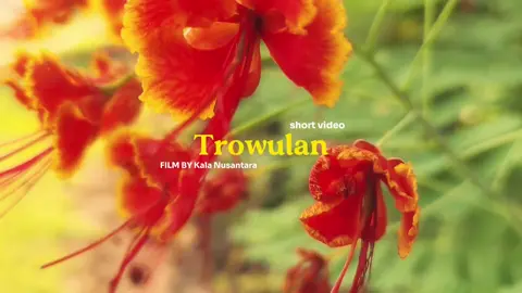 Terkadang mereka yang diam, begitu memukau. Menambah keindahan utama, meski ia hanya karakter sampingan di mata orang #fyp #wilwatiktamajapahit #trowulanmojokerto #fyppppppppppppppppppppppp #wisataindonesia 