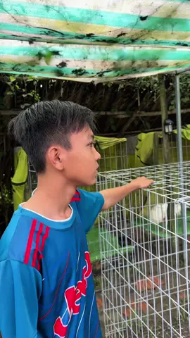 Hình phạt cho thằng em kêu anh nghĩ #thaicm #giaitri 