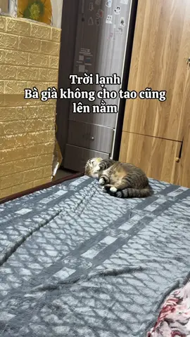 Lạnh cái khác liền #TikTokAwardsVN #noah #cool #pet