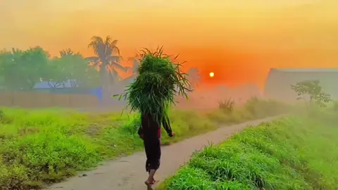 #foryoupage #trending #vairal #fyp #grow 