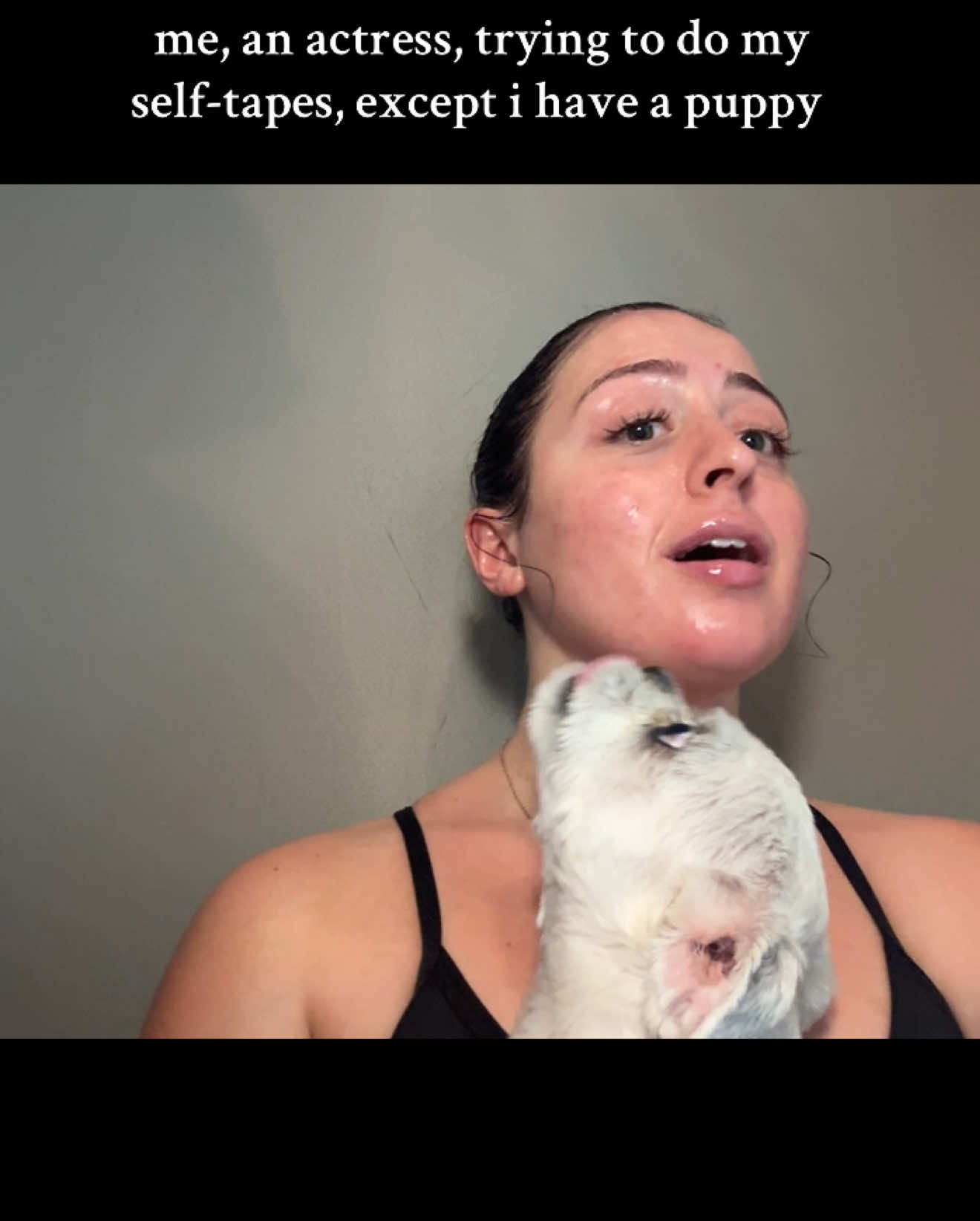 HI — uh — 😂😅 #selftapes #acting #actinglife #puppy #dogmom 🐶