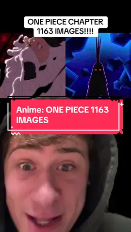 #greenscreen ONE PIECE CHAPTER 1163 IMAGES! WHAAAAAAAAAT #onepiece1163spoilers #anime #manga #fyp @Nerd Twitch @Triple Nexus 
