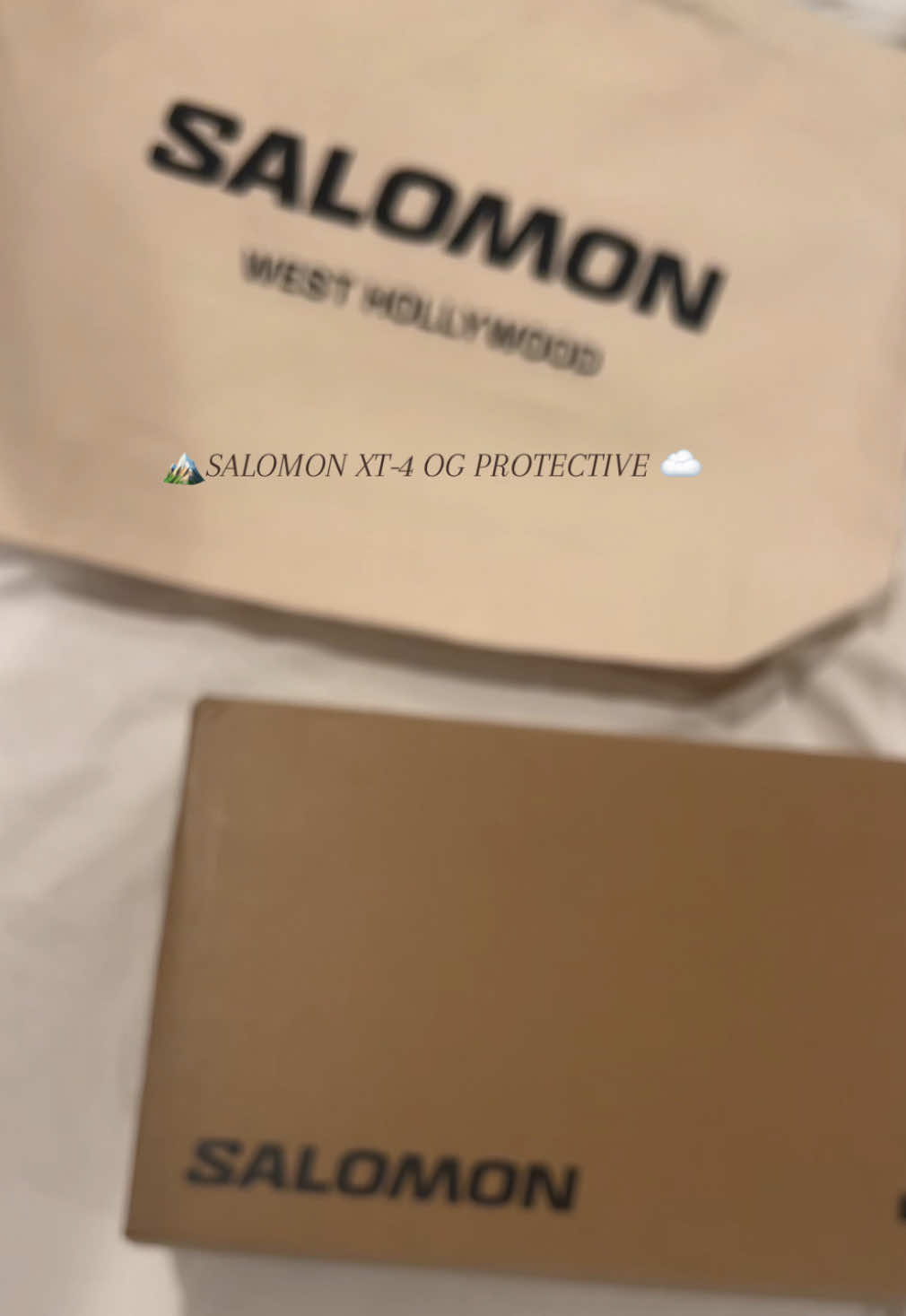 Unbox my dream shoe ✨ #salomon #sneakers #salomonsportstyle #fashiontok 