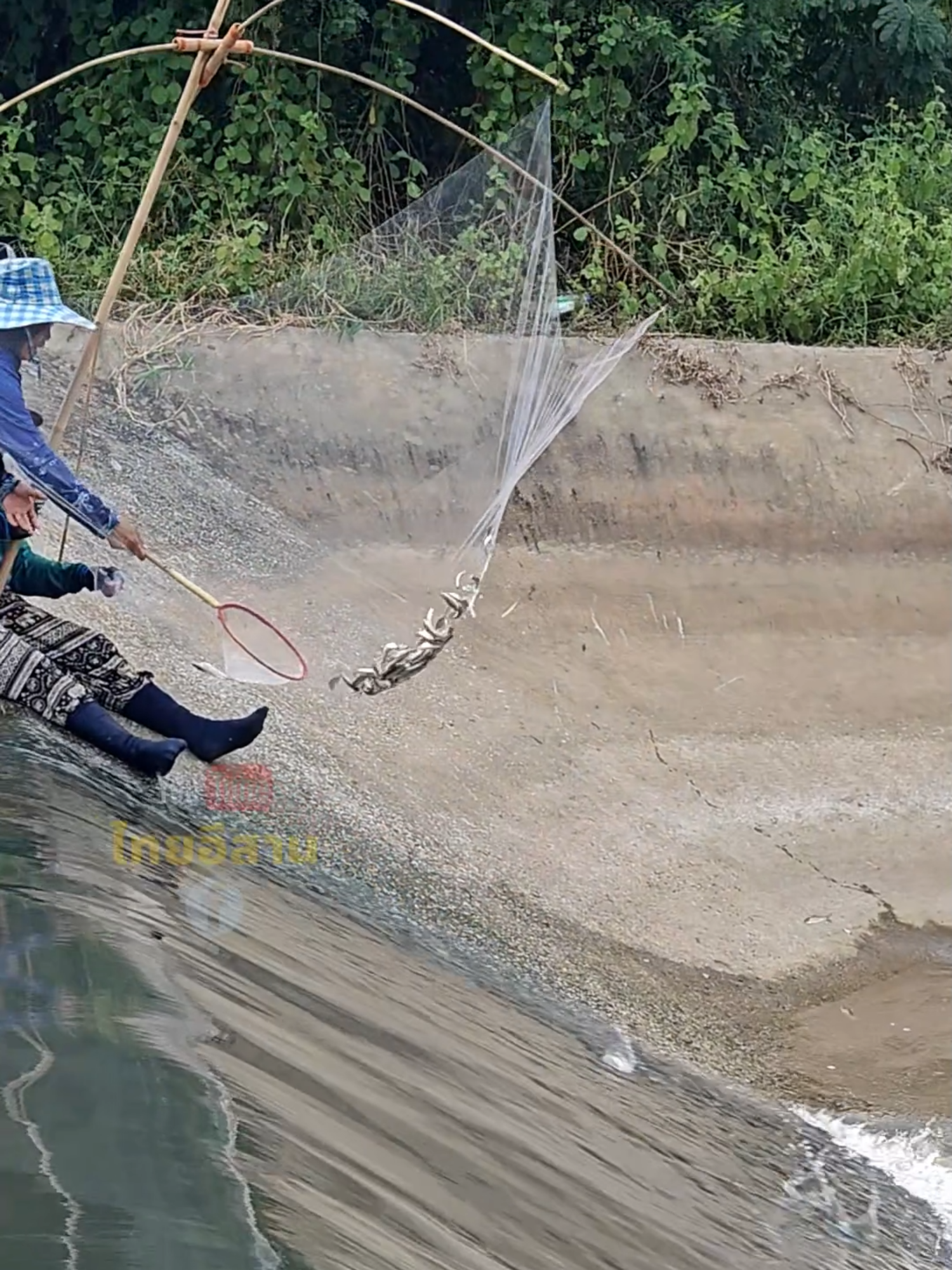 ช็อตเด็ด! ฝูงปลาโดดเข้าสะดุ้ง ยกจนเมื่อยแขน ไม่เคยเจอเยอะขนาดนี้!!