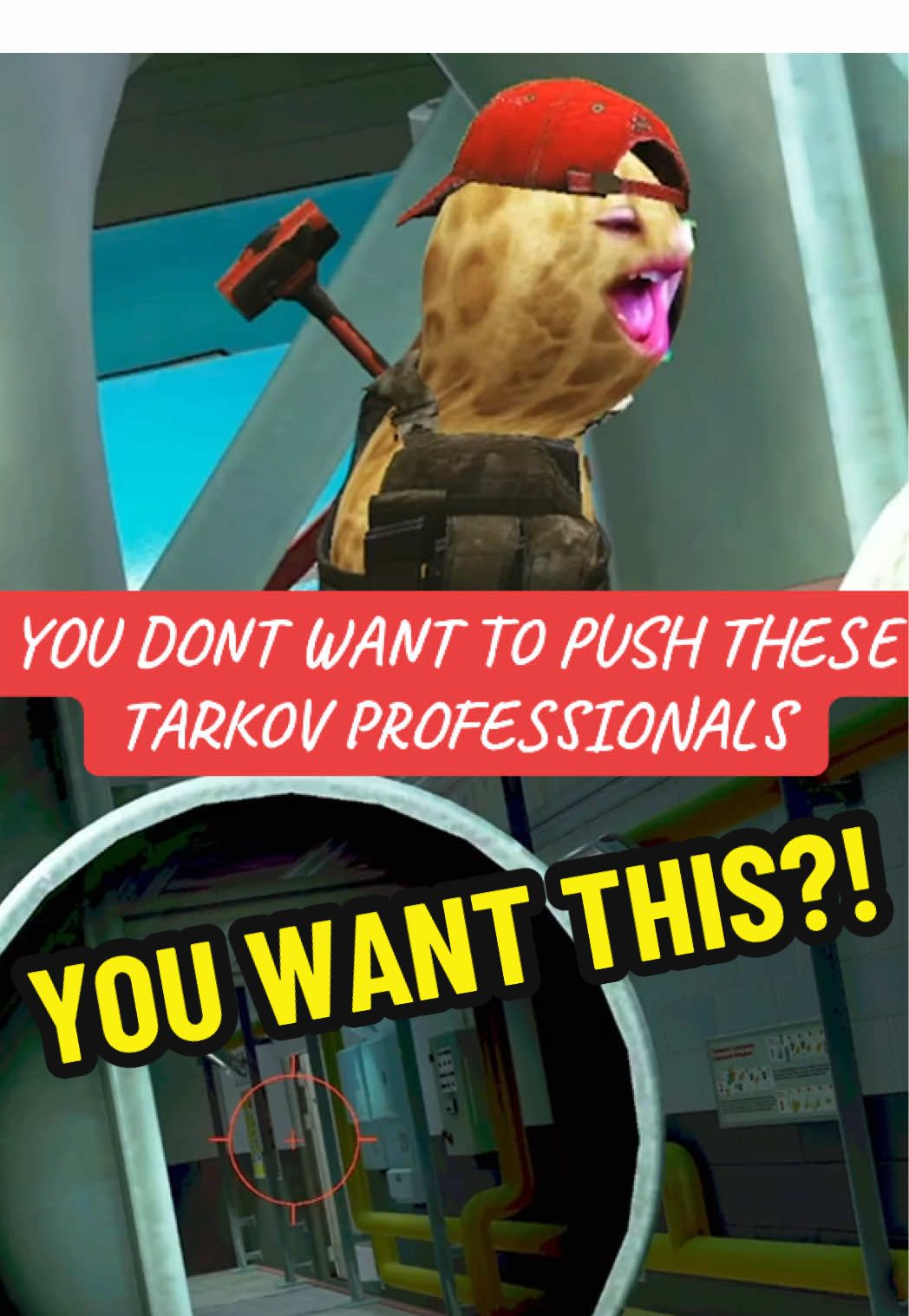 You don’t want to push these two Tarkov professionals! Peanut and @OfficerFA are the real deal! 🎬twitch.tv/theburntpeanut @theburntpeanut #theburntpeanutclip #theburntpeanut #theburntpeanutclips #fyp #tarkov 