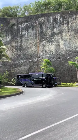last day in Bali 8unit purplegank💜  #fyp #buspariwisata #jetbus5 #phdtrans #phdtransnganjuk #purplegank💜 #bali 