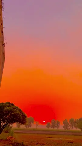 #pindawale #fypviralシ #pindanwaly_star #shorts 