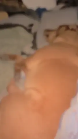 Trying to sleep and the fluffy puppy just having funny dreams #puppy #puppysleeping #puppybarking #funydreams #fyp 